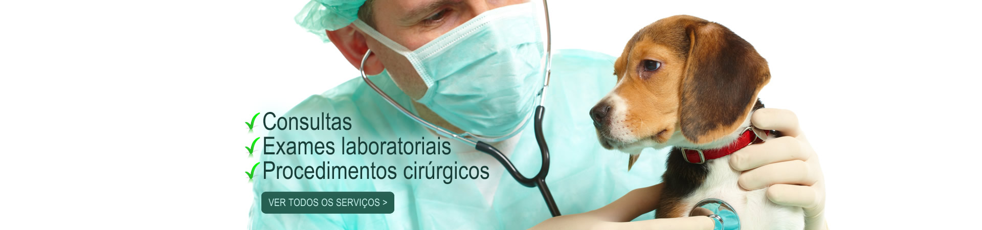 Serviços Clínica Veterinária Lagoa